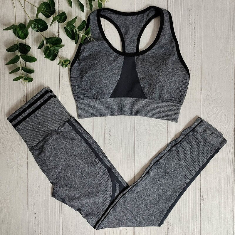 Seamless Yoga 2-Piece Gym Set – Women's Sport Running Outfit