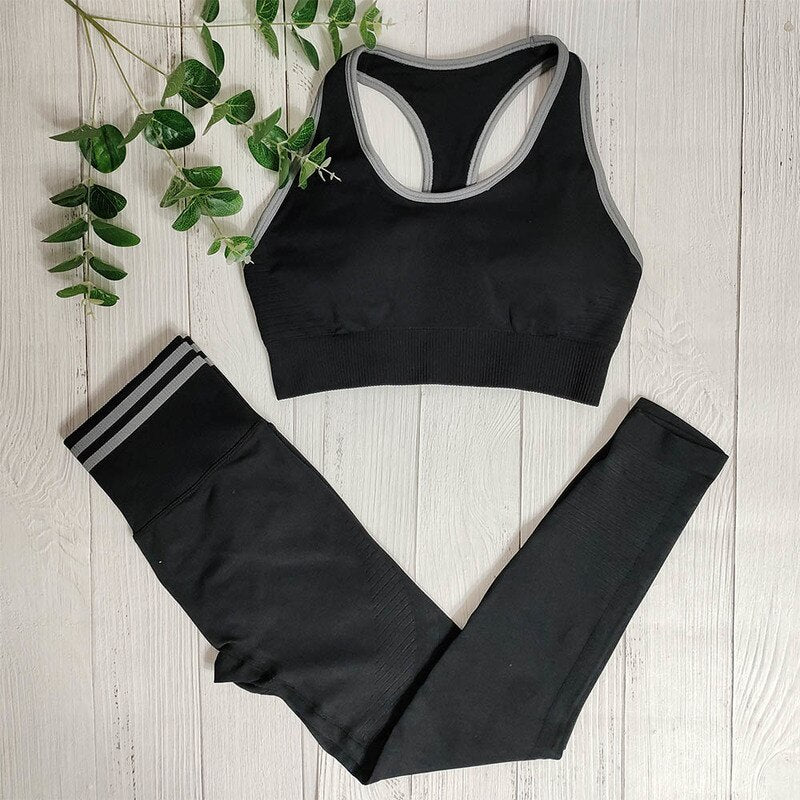 Seamless Yoga 2-Piece Gym Set – Women's Sport Running Outfit
